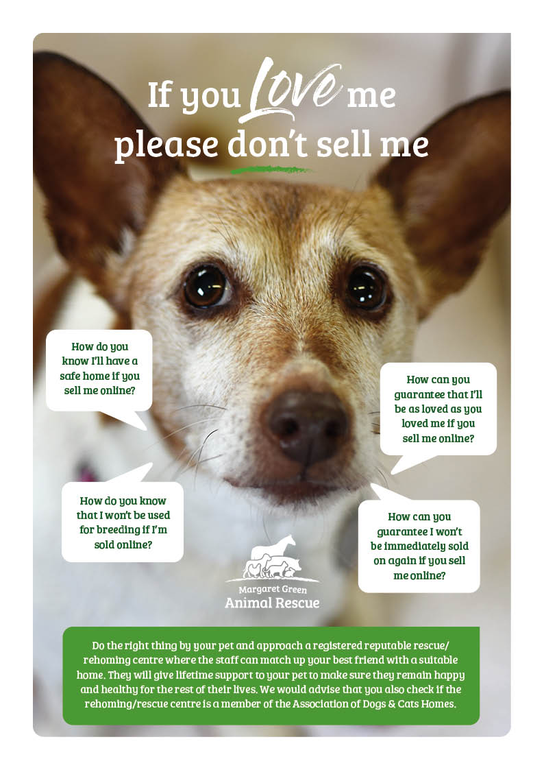 Margaret green animal rescue sales dogs